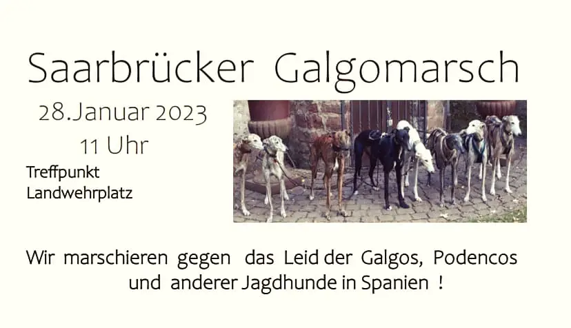 Zur Meldung: Saarbrücker Galgomarsch 2023
