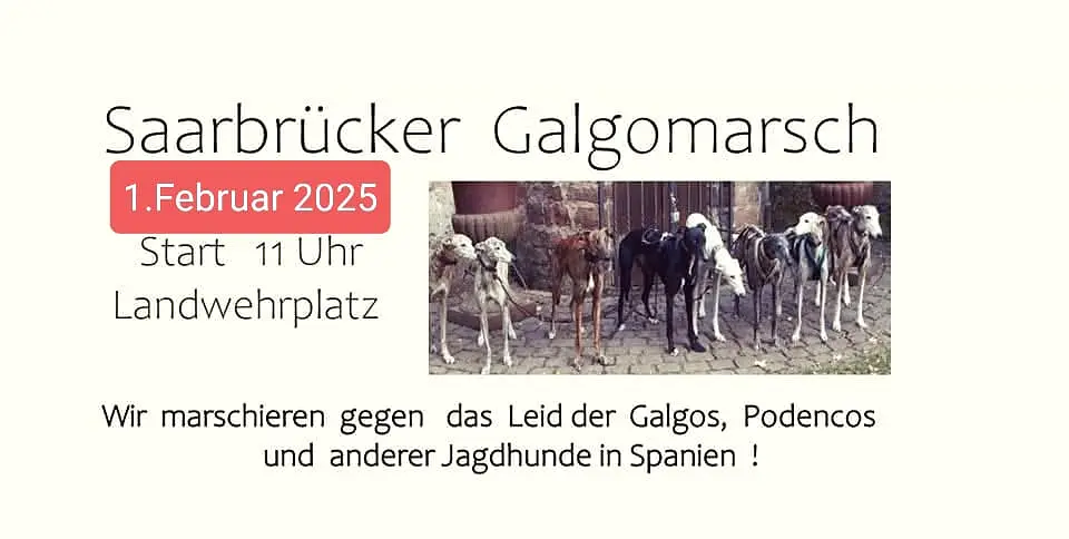 Zur Meldung: Galgomarsch Saarbrücken 2025