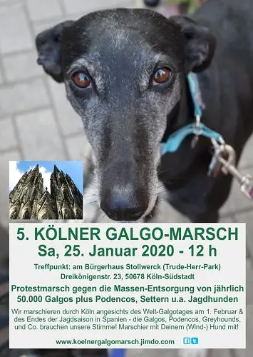 Zur Meldung: 5. Kölner Galgomarsch