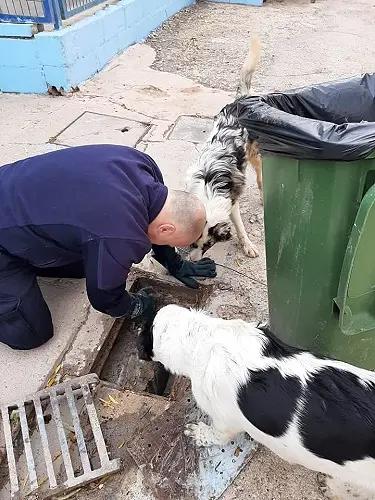 Zur Meldung: Reparaturen vor Ort in Burgos