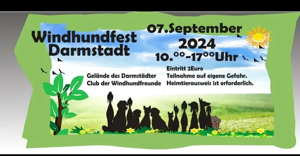 Zur Meldung: Windhundfest Darmstadt 2024